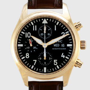 IWC �p�C���b�g�E�I�b�`�N���m
