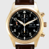 IWC �p�C���b�g�E�I�b�`�N���m