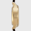 IWC �p�C���b�g�E�I�b�`�N���m