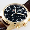 IWC �p�C���b�g�E�I�b�`�N���m