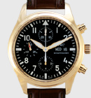 IWC �|���g�M�[�[�@�N���m�O���t